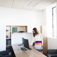 HP Wireless Premium Mouse, Ambidextrous, Laser, RF Wireless, 1200 DPI, Black