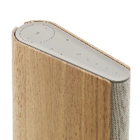 Bang&OlufsenBeosoundEmerge,1.0channels,Wired&Wireless,49-22000Hz,Brown