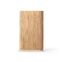 Bang&OlufsenBeosoundEmerge,1.0channels,Wired&Wireless,49-22000Hz,Brown