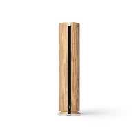 Bang&OlufsenBeosoundEmerge,1.0channels,Wired&Wireless,49-22000Hz,Brown