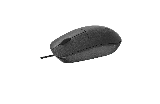 RAPOO N100 BLACK WIRED MOUSE