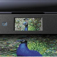 Epson Expression Photo XP-960, Inkjet, Colour printing, 5760 x 1440 DPI, A3, Direct printing, Black