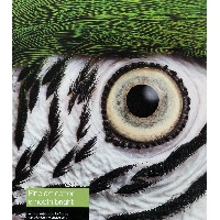 Epson Fine Art Cotton Smooth Bright A3+ 25 Sheets, Matt, Art paper, 300 g/m, 25 sheets