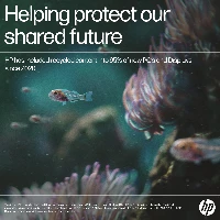 HP Pro 400 G9, 2.2 GHz, Intel Core i3, i3-12100T, 8 GB, 256 GB, Windows 11 Pro