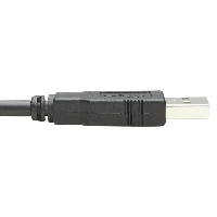 USB-A to RJ45 Rollover Console Cable (M/M) - Cisco Compatible, 250 Kbps, 10 ft. (3.05 m), Black
 Tripp Lite U009-010-RJ45-X USB-A to RJ45 Rollover Console Cable (M/M) - Cisco Compatible, 250 Kbps, 10 ft. (3.05 m), Black. Cable length: 3.05 m, Connector 1: RJ-45, Connector 2: USB 2.0 Type-A
 Program, reset or reboot a serial-based Cisco switch, firewall, router or modem through its console port
 <b>Ideal for IT Pros Who Need a Connection Between Computer and Cisco Console Device</b><br>
This r