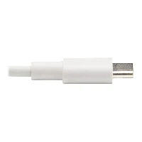 USB-C TO LIGHTNING SYNC/CHARGE CABLE (M/M), MFI C