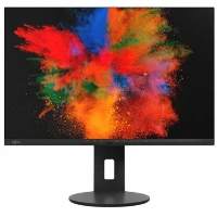 P2410 WS 24 20000000 1 300 CD/M2