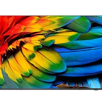 65 TV ANDROID 4K 350 CD/M WIFI HDMI MULTIMEDIALE