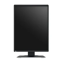 MONITOR EIZO RADIFORCE RX370 3MP COLORE