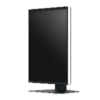 MONITOR EIZO RADIFORCE RX370 3MP COLORE