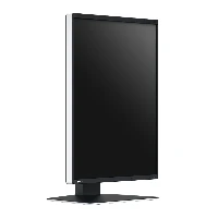 MONITOR EIZO RADIFORCE RX370 3MP COLORE