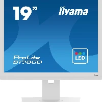 iiyama ProLite B1980D-W5, 48.3 cm (19
