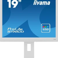 iiyama ProLite B1980D-W5, 48.3 cm (19