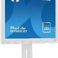 iiyama ProLite B1980D-W5, 48.3 cm (19