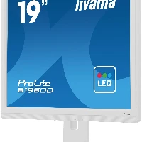 iiyama ProLite B1980D-W5, 48.3 cm (19