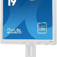 iiyama ProLite B1980D-W5, 48.3 cm (19