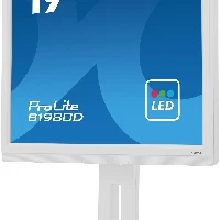 iiyama ProLite B1980D-W5, 48.3 cm (19