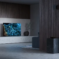 Sony FWD-55A80L, 139.7 cm (55
