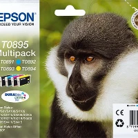 T08954010 MULTIPACK(NCMY)STYLUS S20