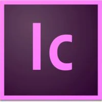 INCOPY - PRO FOR ENTERPRISE MULTI EUROPEAN LANGUAG