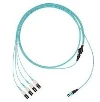 Cable OM4 8 Fiber MPO Female To LC 40Gto10G mt.2