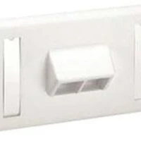 Placca Inclinata 2 Keystone modules Netkey Bianca