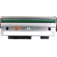 TESTINA ZEBRA ZM600 8DOT 203DPI