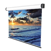 SOPAR Electric Professional - Schermo per proiezione - montaggio a soffitto, montaggio a parete - motorizzato - 230 V - 126 (320 cm) - 16:9