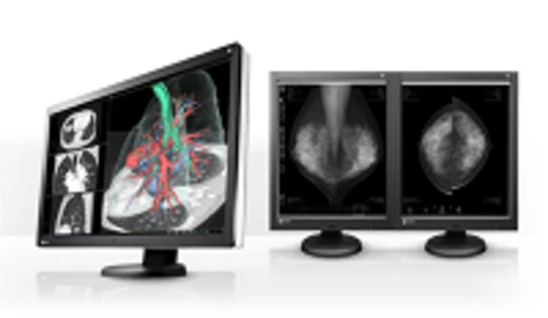 EIZO REGLOO RADIOFORCE RX340 21.2 MEDICALE