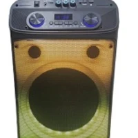 PARTY SPEAKER A TROLLEY FLAME T55