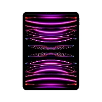 Apple 11-inch iPad Pro Wi-Fi - 4^ generazione - tablet - 256 GB - 11 IPS (2388 x 1668) - grigio spazio