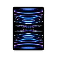 APPLE  IPAD PRO 11 (2022) WIFI+CELL.(16GB+1TB)  AR