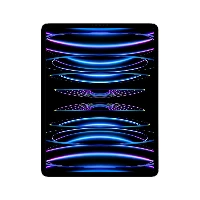 APPLE IPAD PRO 12 (2022) WIFI+CELL. (16GB+2TB)  AR