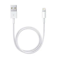 Apple - Cavo Lightning - Lightning maschio a USB maschio - 50 cm - per iPad/iPhone/iPod (Lightning)