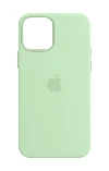 Apple - Copertura protettiva per cellulare - con MagSafe - silicone - pistacchio - per iPhone 12, 12 Pro