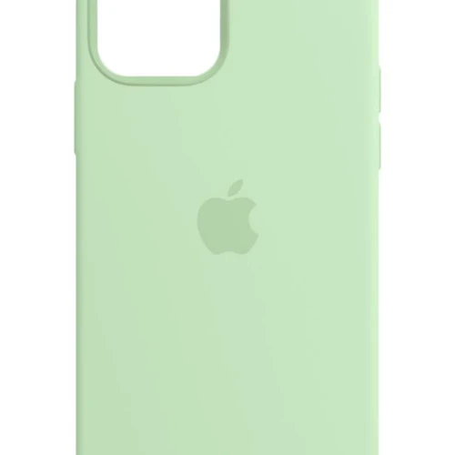 Apple - Copertura protettiva per cellulare - con MagSafe - silicone - pistacchio - per iPhone 12, 12 Pro