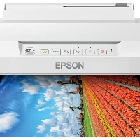 Epson Expression Photo XP-65 - Stampante - colore - Duplex - ink-jet - A4/Legal - 5760 x 1440 dpi - fino a 9.5 ppm (mono) / fino a 9 ppm (colore) - capacit 100 fogli - USB, LAN, Wi-Fi