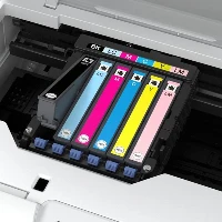 Epson Expression Photo XP-65 - Stampante - colore - Duplex - ink-jet - A4/Legal - 5760 x 1440 dpi - fino a 9.5 ppm (mono) / fino a 9 ppm (colore) - capacit 100 fogli - USB, LAN, Wi-Fi