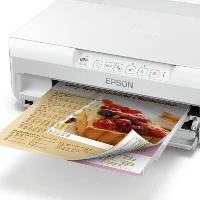 Epson Expression Photo XP-65 - Stampante - colore - Duplex - ink-jet - A4/Legal - 5760 x 1440 dpi - fino a 9.5 ppm (mono) / fino a 9 ppm (colore) - capacit 100 fogli - USB, LAN, Wi-Fi