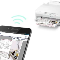 Epson Expression Photo XP-65 - Stampante - colore - Duplex - ink-jet - A4/Legal - 5760 x 1440 dpi - fino a 9.5 ppm (mono) / fino a 9 ppm (colore) - capacit 100 fogli - USB, LAN, Wi-Fi