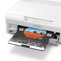 Epson Expression Photo XP-65 - Stampante - colore - Duplex - ink-jet - A4/Legal - 5760 x 1440 dpi - fino a 9.5 ppm (mono) / fino a 9 ppm (colore) - capacit 100 fogli - USB, LAN, Wi-Fi
