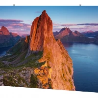 Sony ZRD-BH12D, Crystal LED, 1.27 x 1.27 mm, 1700 cd/m, 10000001, 170, 170