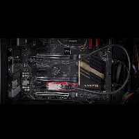 StarTech.com 1-Port 2.5GbE M.2 2280 Network Card, Multi-Gigabit Speeds (2.5G/1G/100M/10M), NBASE-T (802.3bz) NIC, M.2 B+M Key, PCIe Ethernet Interface, For SFF/Desktop PCs, Internal, Wired, M.2, Ethernet, 2500 Mbit/s, Red