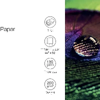 Epson Production - Polietilene (PE) - Lucido - microporoso - 200 micron - Rotolo (111,8 cm x 30 m) - 200 g/m - 1 rotoli carta fotografica - per Stylus Pro 9890, SureColor P10000, P20000, SC-P10000, P20000, P8000, P9000, P9500, T7200