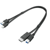 Lenovo Dual Head - Kit cavo display/USB - USB Tipo A, DisplayPort (M) a USB Type B, Mini DisplayPort (M) - USB 3.0 - 43 cm - nero - per ThinkCentre M75t Gen 2, ThinkStation P340, P350