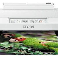 EP EXPRESSION PHOTO XP-55,STAMP WIF