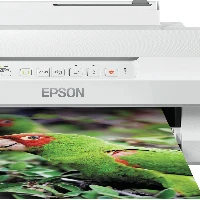 EP EXPRESSION PHOTO XP-55,STAMP WIF