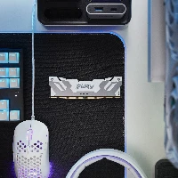 16GB 6800 DDR5 DIMM FURY Reneg WHT XMP