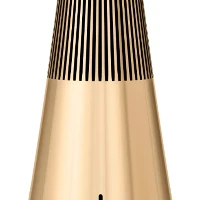 Beosound 2 3rd Gen Gold Tone WK9