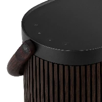 Beosound A5 Dark Oak
